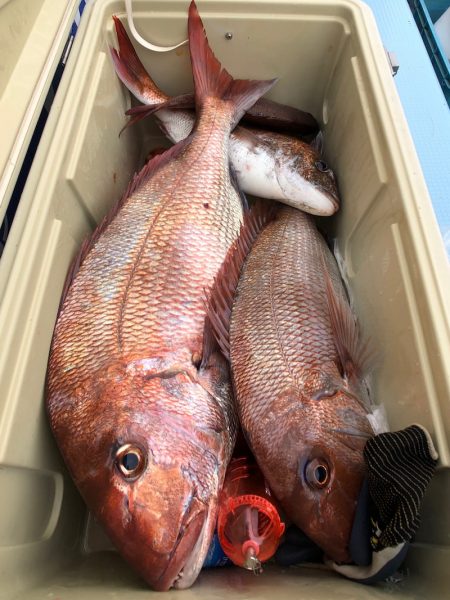 第二八坂丸 釣果