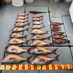 遊漁船高橋 釣果