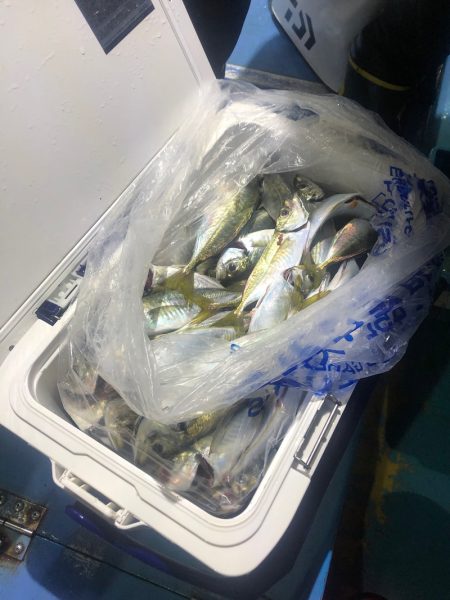 ヤザワ渡船 釣果