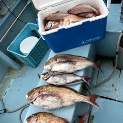 第二八坂丸 釣果