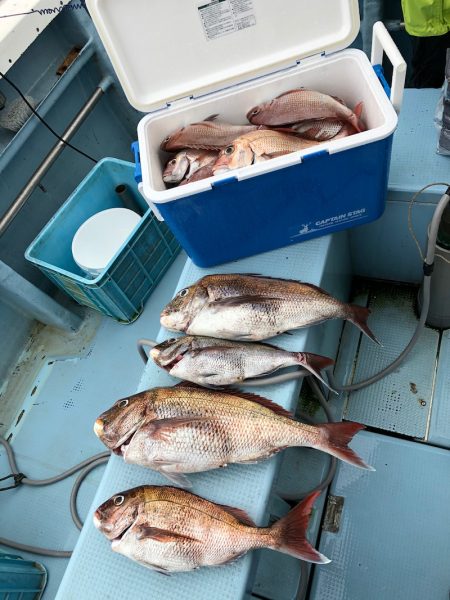 第二八坂丸 釣果