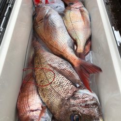 第二八坂丸 釣果