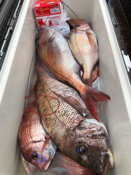 第二八坂丸 釣果