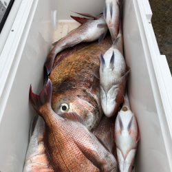 第二八坂丸 釣果