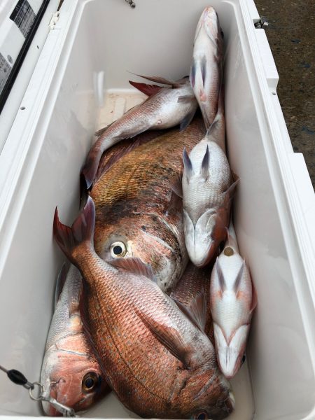 第二八坂丸 釣果