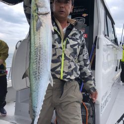 ビッグファイター 釣果