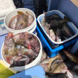 第二 つれたか丸 釣果