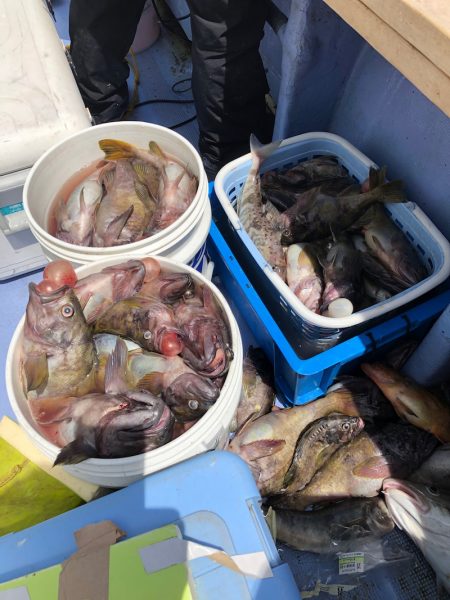 第二　つれたか丸 釣果