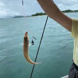 末広丸(熊本) 釣果