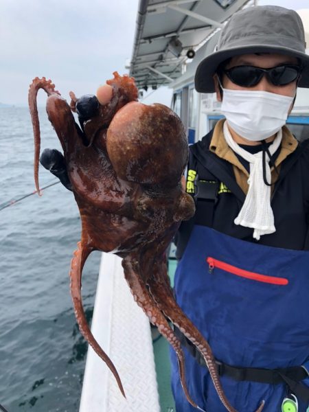 ヤザワ渡船 釣果