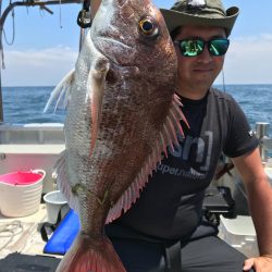 ランスルー 釣果