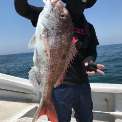 ランスルー 釣果