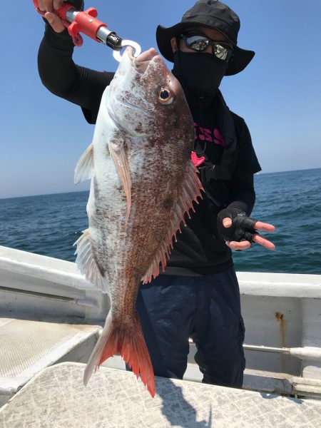 ランスルー 釣果