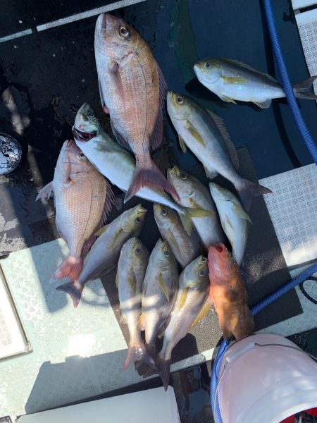 さくら丸 釣果