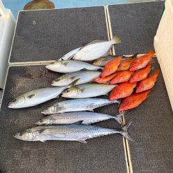 Monster Rush! 釣果