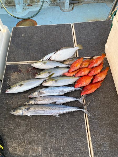 Monster Rush! 釣果