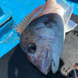 太平丸 釣果