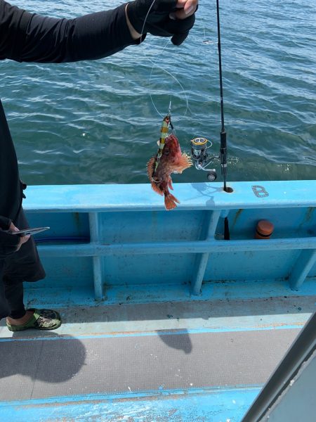 みやけ丸 釣果