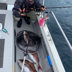 遊漁船ブルーウッズ 釣果