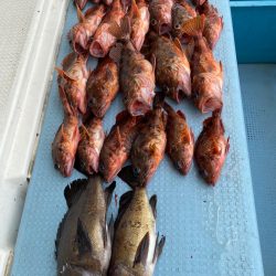 岡田釣船 八英丸 釣果