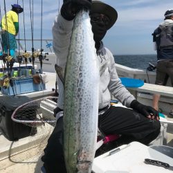 ランスルー 釣果