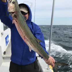 ランスルー 釣果