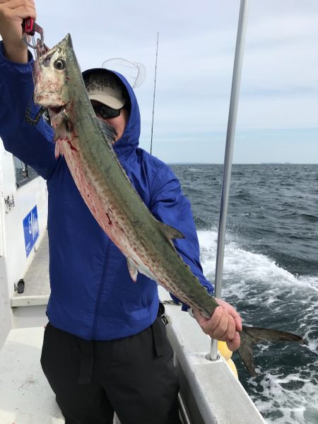 ランスルー 釣果