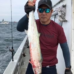 ランスルー 釣果