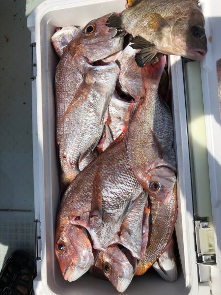 フィッシング　キッタカ 釣果