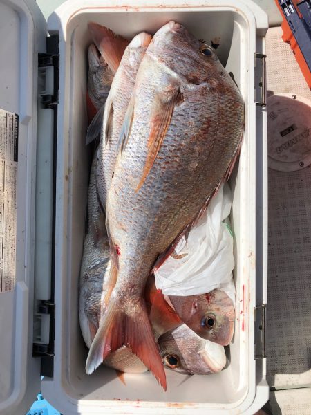 フィッシング キッタカ 釣果