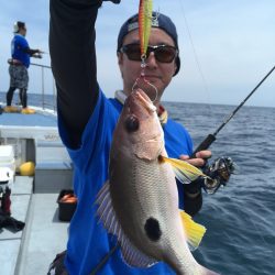 渡船屋たにぐち 釣果