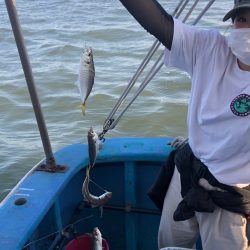 ヤザワ渡船 釣果