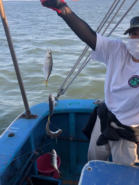 ヤザワ渡船 釣果