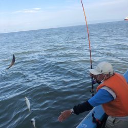 ヤザワ渡船 釣果