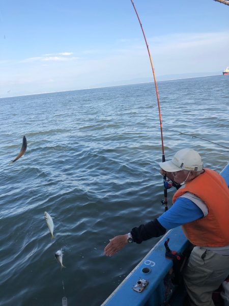 ヤザワ渡船 釣果