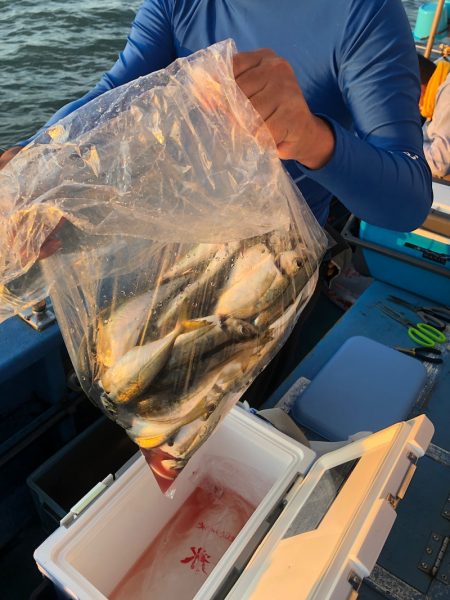 ヤザワ渡船 釣果