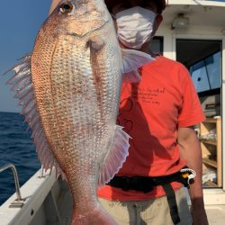 エヌスタイル 釣果