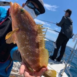 エヌスタイル 釣果