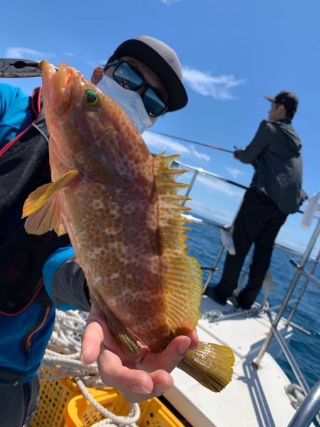 エヌスタイル 釣果