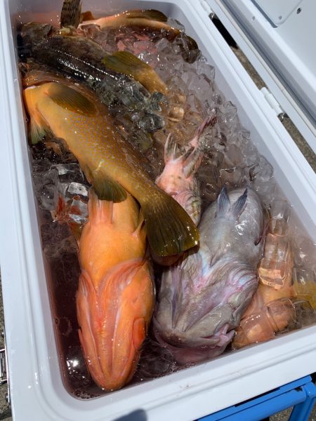 エヌスタイル 釣果