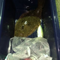 第二八坂丸 釣果