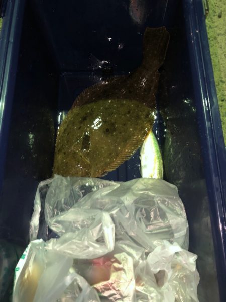 第二八坂丸 釣果