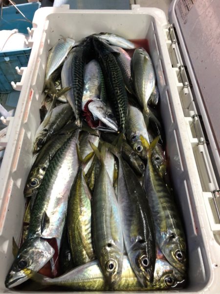 第二八坂丸 釣果