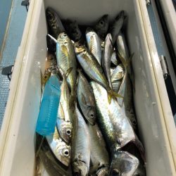 第二八坂丸 釣果