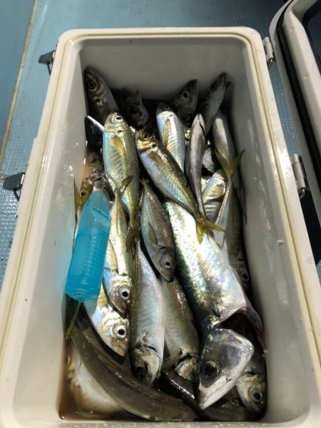 第二八坂丸 釣果