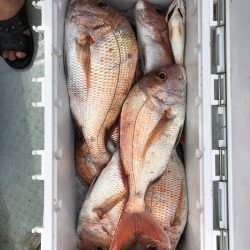 フィッシング キッタカ 釣果