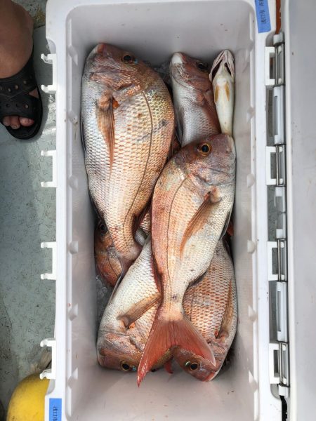 フィッシング キッタカ 釣果