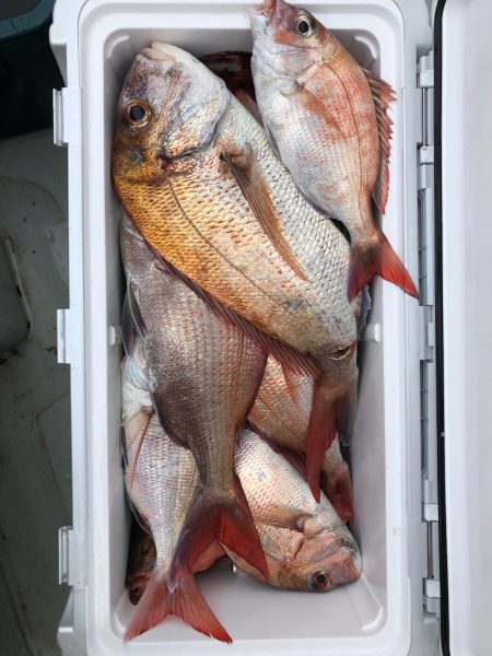 フィッシング キッタカ 釣果