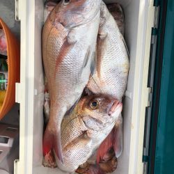 フィッシング キッタカ 釣果