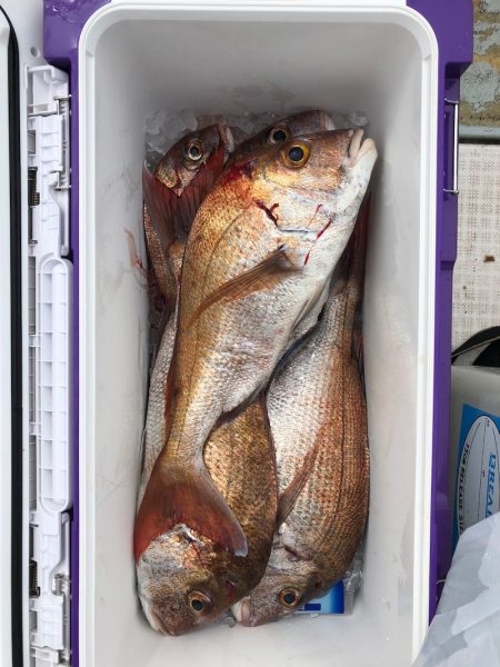 フィッシング キッタカ 釣果